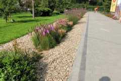 IMG-20230822-WA0009