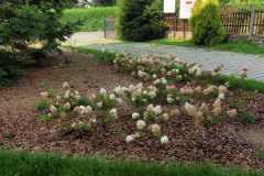 IMG-20230822-WA0012