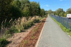 IMG-20230921-WA0007
